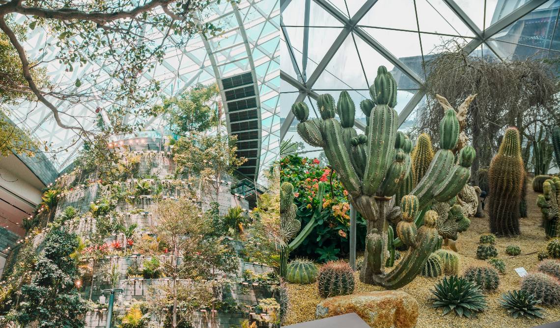 Jewel Changi Airport’s Shiseido Forest Valley and Gardens by the Bay’s Flower Dome